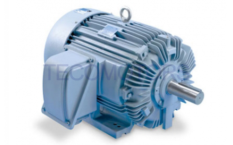 Motores TECO IEEE-841